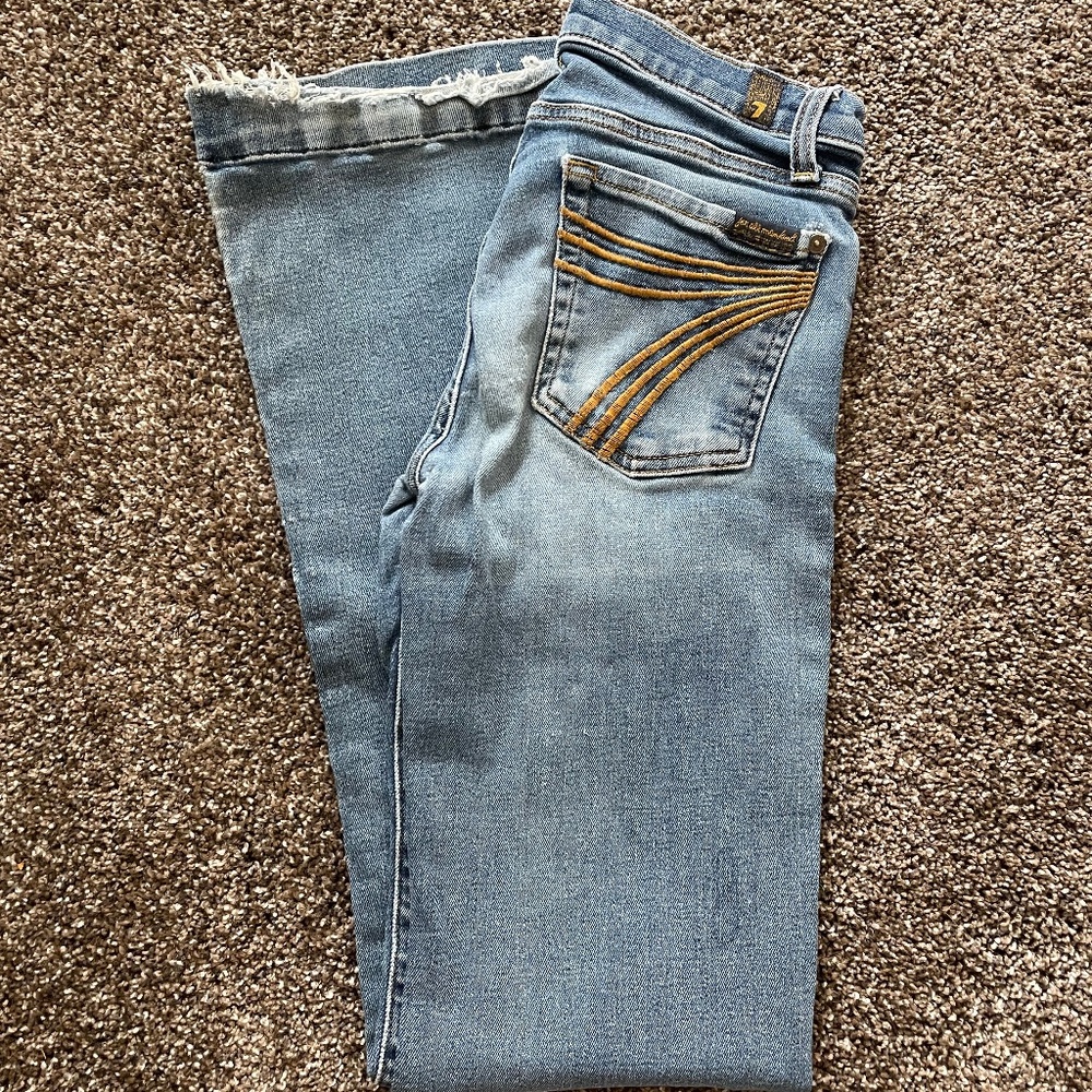 7 for all mankind dojo